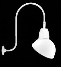 RAB Lighting GN3LED13NADW - GOOSE UPCR 30" H