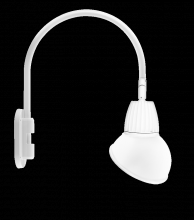 RAB Lighting GN4LED13NAD11W - GOOSEWALL 20" H