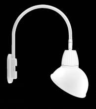 RAB Lighting GN4LED13NADW - GOOSEWALL 20" H