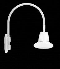 RAB Lighting GN4LED13NST11W - GOOSEWALL 20" H