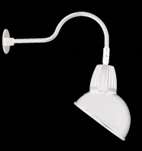 RAB Lighting GN1LED13NADW - GOOSE STYLE1 13W NEUT ANG.
