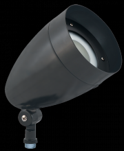 RAB Lighting HBLED13DCA - LFLOOD 13W COOL 12V 24V DC W/ HOOD BZ