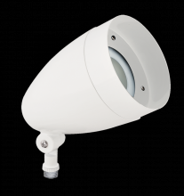 RAB Lighting HBLED13DCW - LFLOOD 13W COOL 12V 24V DC WITH HOOD WH