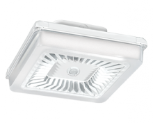 RAB Lighting PRT70W/D10/WS2 - PORTO XL 18IN 70W COOL 120-277 DIM WS WH