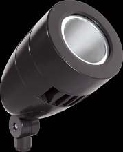 RAB Lighting HSLED13DCA - LFLOOD SPOT 13W DC COOL 12V 24V W/ BZ