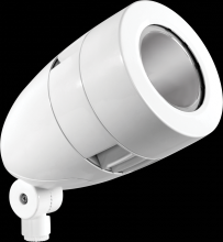 RAB Lighting HSLED13DCW - LFLOOD SPOT 13W DC COOL 12V 24V WITH
