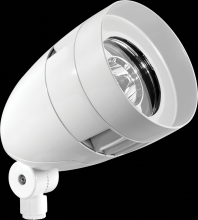 RAB Lighting HBLED13W - LFLOOD 13W COOL 12V BULLET WITH HOOD WH