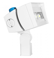 RAB Lighting FFLED120SFNW/D10/PCT - FUT.FLOOD 120W 7X6 4000K PCT WH