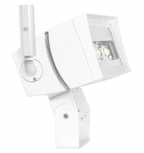 RAB Lighting FFLED120TW/D10/LC - FUT.FLOOD 120W 7X6 5000K WH
