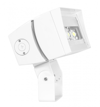 RAB Lighting FFLED120TW/D10 - FUT.FLOOD 120W 7X6 5000K DIM WH