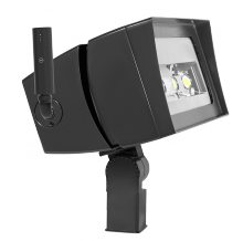 RAB Lighting FFLED230SFN/D10/LC - 2307HX6V 4K120-277 LC CNTRLR SLPFR BNZ