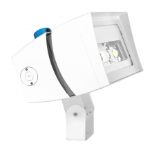 RAB Lighting FFLED180TNW/480/D10/PCT4 - 180W 7HX6V 4000K480V DIMBL PCELL TRNNWHT