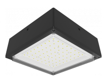 RAB Lighting VANLED20 - VNDLPRF CANOPY 20W COOL 120-277