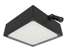 RAB Lighting VANLED10N/PCS2 - VNDLPROOF CANOPY 10W NEUT.277