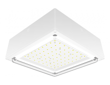 RAB Lighting VANLED65W - VNDLPRF CANOPY 65W COOL 120-277 WH