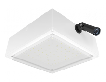 RAB Lighting VANLED20NFRW/PCS2 - VANLED FR 20W 4KLED 277 PCS W DROP WH