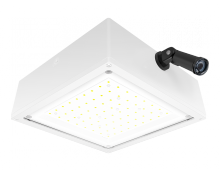 RAB Lighting VANLED10FW/PCS2 - VNDLPROOF CANOPY 10W F COOL 277 PCS WH