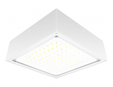 RAB Lighting VANLED65FW - VNDLPRF CANOPY 65W COOL 120-277 F WH