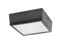RAB Lighting VANLED40F/480/D10 - VNDLPRF CANOPY 40W COOL480 DIM F