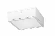 RAB Lighting VANLED40FW/480/D10 - VNDLPRF CANOPY 40W COOL480 DIM F WH