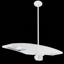 RAB Lighting PLED2X10MSW - LED PENDSADT 2X10W COOL SAD MINI SEN WH