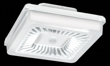 RAB Lighting PRT30W/D10/WS - PORTO 14IN 30W COOL 120 277 DIM WAT