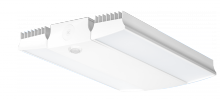 RAB Lighting RAIL185W/D10/WS4 - HBAY 30IN 185W 5000K 120V 277 DI WS4