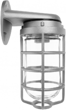 RAB Lighting VBR100S - VP 100 WALL BKT SIL W/ GL GLB
