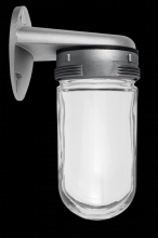 RAB Lighting VBR100 - VP 100 WALL BKT W/ GL GLB