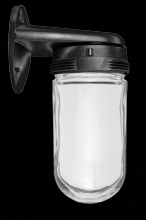 RAB Lighting VBR100B - VP 100 WALL BKT BL W/ GL GLB