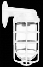 RAB Lighting VBR100DGW - VP 100 WALL BKT WH W/ GL GLB CAST GD