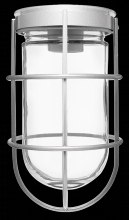 RAB Lighting VC100G - VP 100 CEILING W/ GL GLB WIRE GD