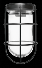 RAB Lighting VC100GB - VP 100 CEILING BL W/ GL GLB WIRE GD