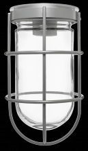 RAB Lighting VC100GS - VP 100 CEILING SIL W/ GL GLB WIRE GD