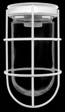 RAB Lighting VC100GW - VP 100 CEILING WH W/ GL GLB WIRE GD