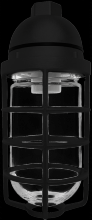 RAB Lighting VP100DGB - VAPORPROOF 100 PENDANT 1/2 Inch BLACK G