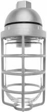 RAB Lighting VP100DG - VAPORPROOF 100 PENDANT 1/2 Inch  WITH GL