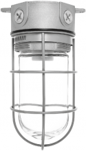 RAB Lighting VX100G - VAPPRF 100 CEIL. 4"  BOX 1/2 I W GL GD