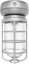 RAB Lighting VX2F32 - VP CFL CEILING 32W QT 1/2 Inch WITH GLA
