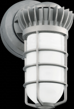 RAB Lighting VXBRLED13DG - VAPORPROOF 13WWALL BRKT FR GLO