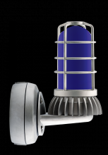 RAB Lighting VXBRLED13DG/UP-BLU - LBEACON13WAL BRKT BLU FRST GL DIECAST GD