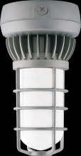 RAB Lighting VXLED13DG - VAPORPROOF 13W CEILING FR GL GL