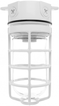 RAB Lighting VX100DGW - VP 100 CILNG 4" BOX 1/2" WH  GL GLB GD
