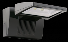 RAB Lighting WPLED26/E - LBACKUP WALL 26W COOL EM BT 1