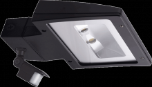 RAB Lighting WPLED26MS - WALLPK 26W COOL JUNC BOX AND
