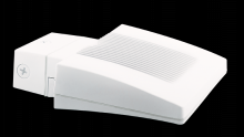 RAB Lighting WPLED26W - WALL 26W COOL WITH BACKPL
