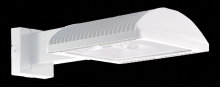 RAB Lighting WPLED2T78W - WALL 78W TYPE II COOL WHIT
