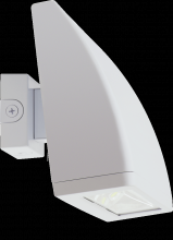 RAB Lighting WPLEDC104W - WALL PK 104W CUTOFF COOL 4X26W W