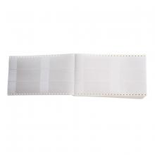 Brady DAT-159-292-1 - Lbls 8.437 in H x 2 in W WT, CL 1000/PK
